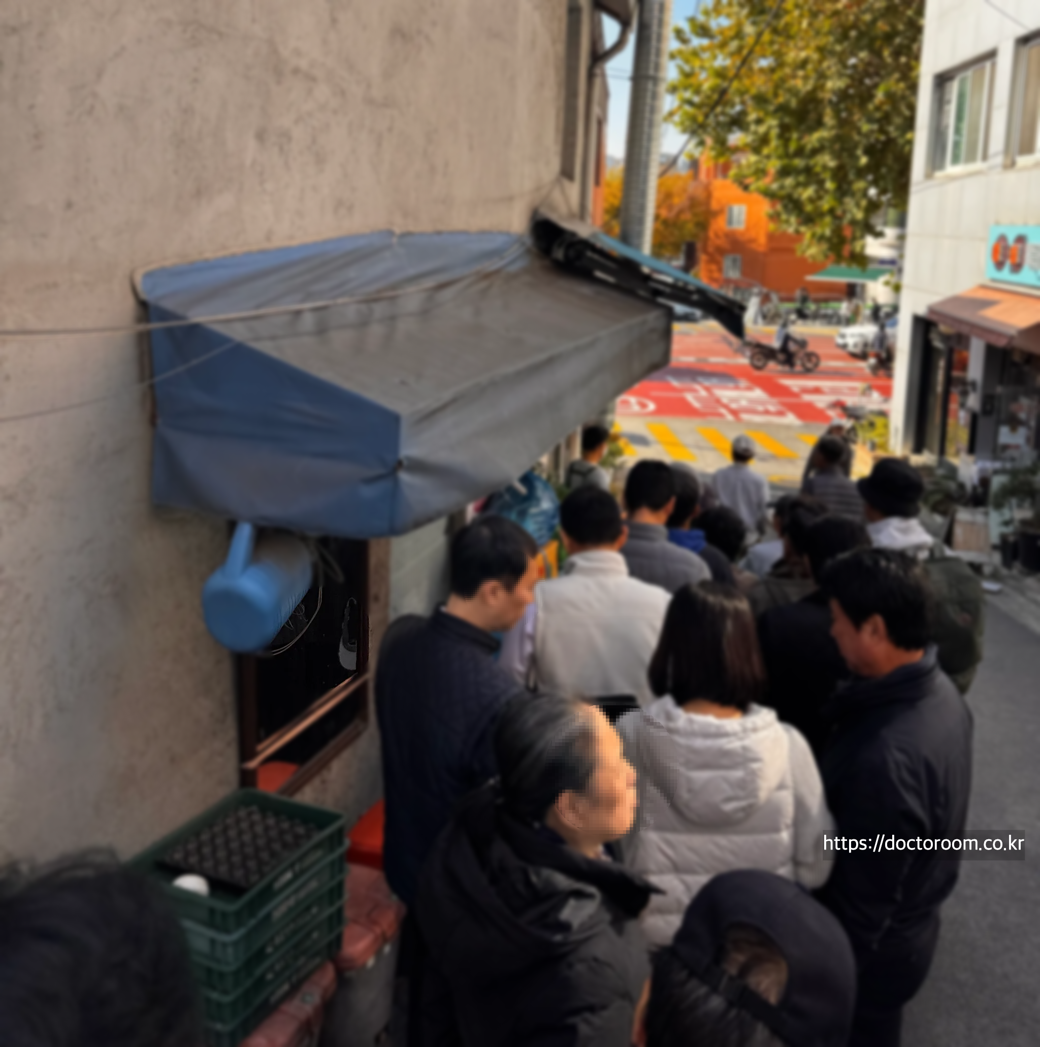 양지식당 금요일