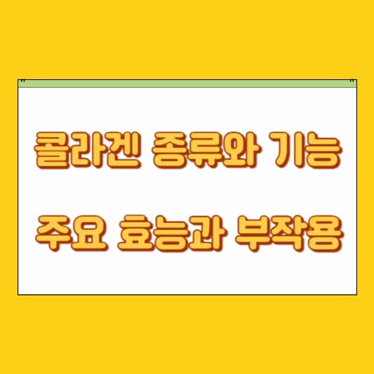 콜라겐 종류와 기능, 주요 효능, 부작용