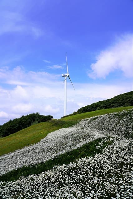 세계 풍력 발전의 성장 동향과 주요 국가 별 발전 현황