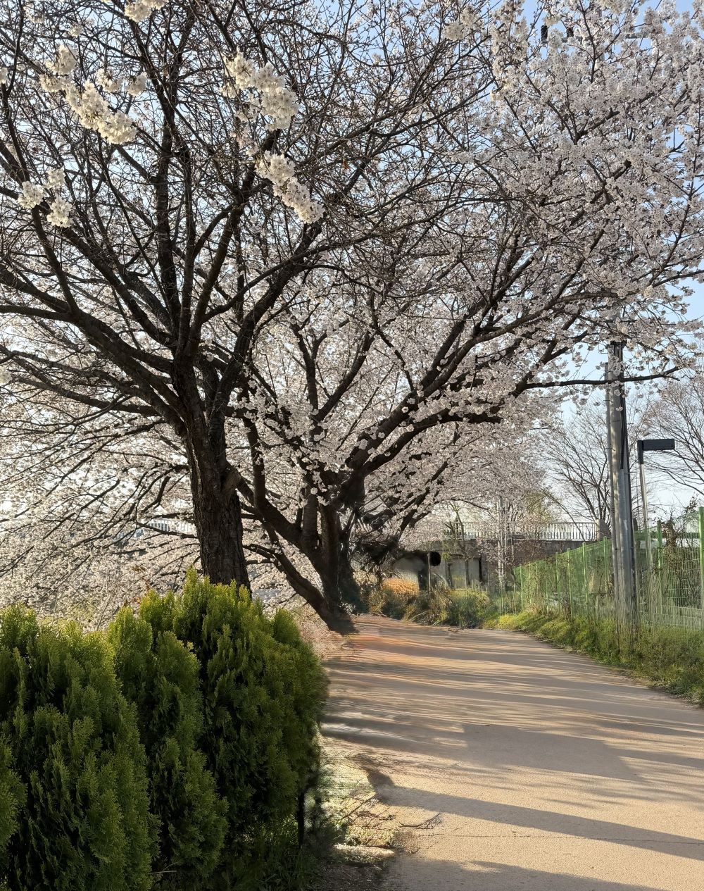 퇴근 후 자기관리 루틴, 현실적으로 가능한 방법