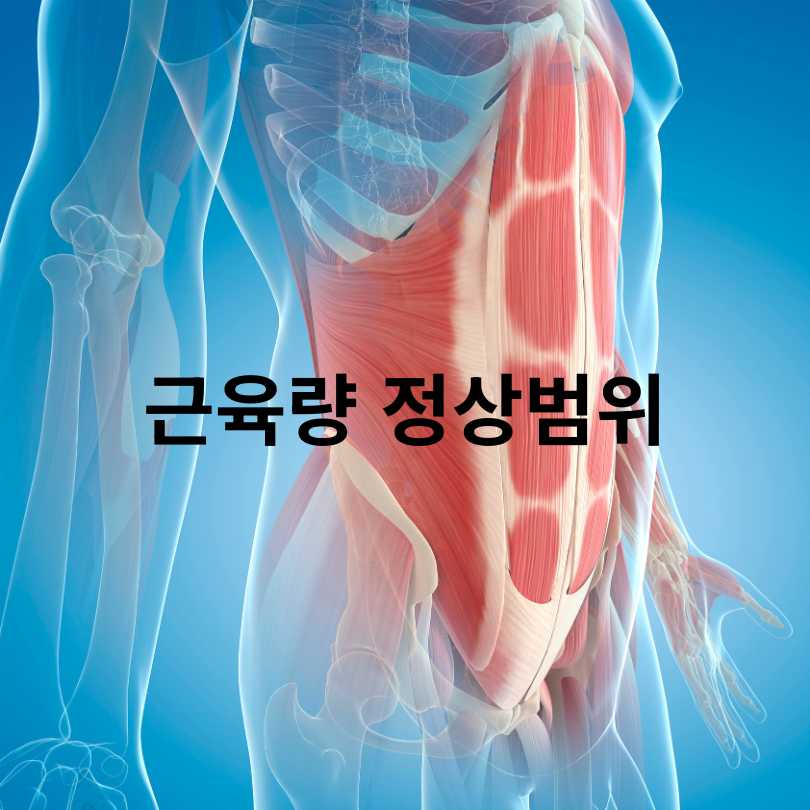 근육량 정상범위와 근육량 늘리는 법