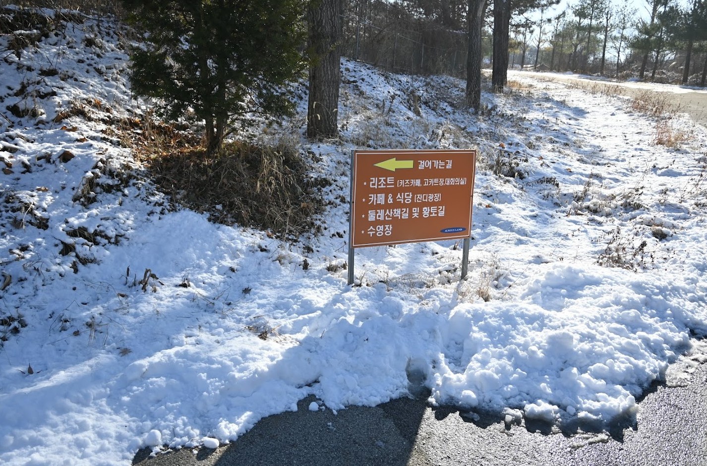 눈썰매장과 카트 타는곳 있는 알멕스랜드 캠핑장 에서 놀고 온 후기 사진 11