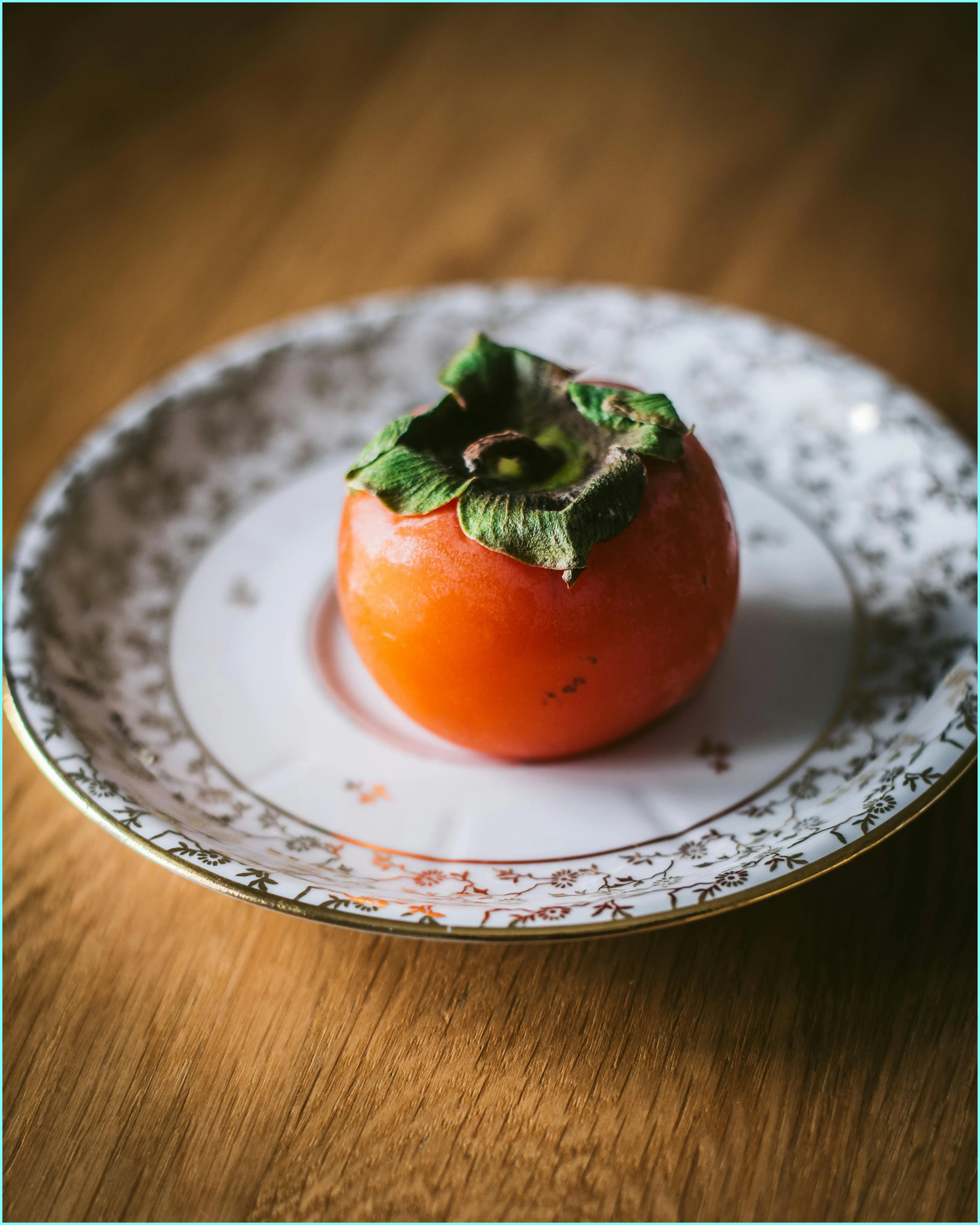 강아지 감 먹어도 되나요? 안전하게 먹이는 방법과 주의점