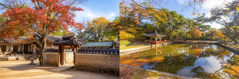 창덕궁 후원