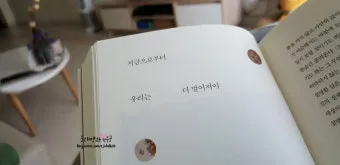 북서향 창문 식물 선택 저광량관리 물주기 식물등 세팅 가이드_11