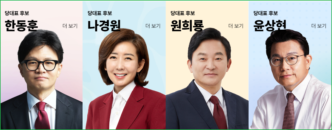 국민의힘 전당대회 일정 당대표 투표방법 선거일 후보공약 갤러리