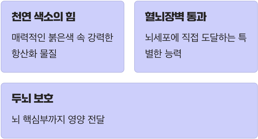 붉은 보석 속 비밀, 안토시아닌