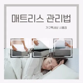 매트리스 관리 청소기 베이킹소다 회전주기 방수커버 팁_6