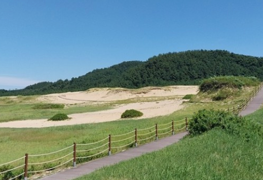 전국봄꽃명소