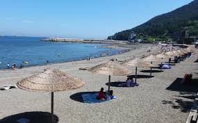 8월에 가볼만한 국내 여행지 베스트 10