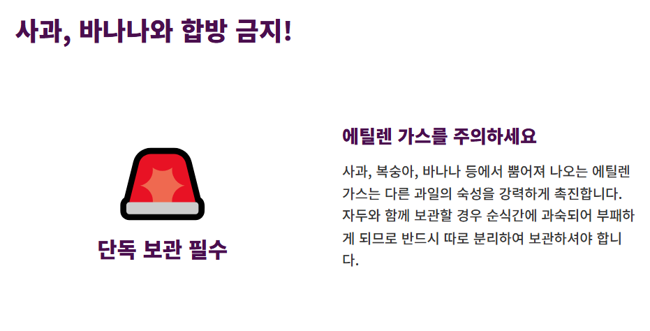 자두 보관방법