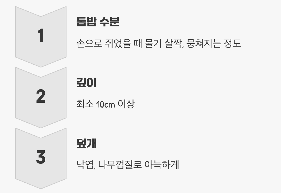 겨울 궁전 꾸미기