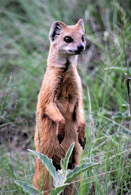 티몬 위메프 큐텐 탈퇴 주의점_5