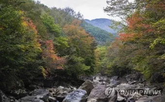 2025년 8월 지리산 날씨 옷차림 복장 준비물 여행 꿀팁_18