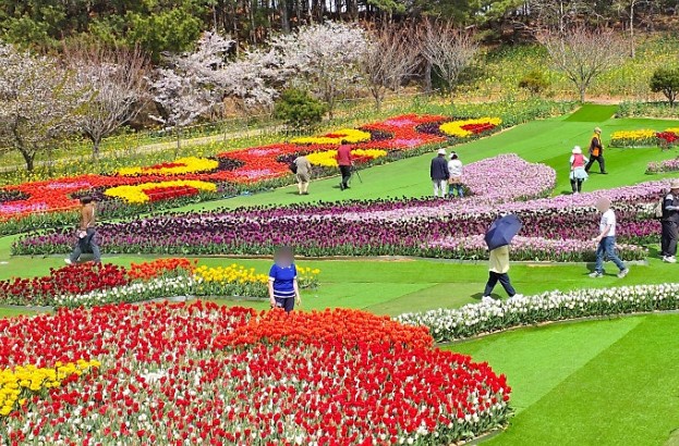 태안 세계튤립공원