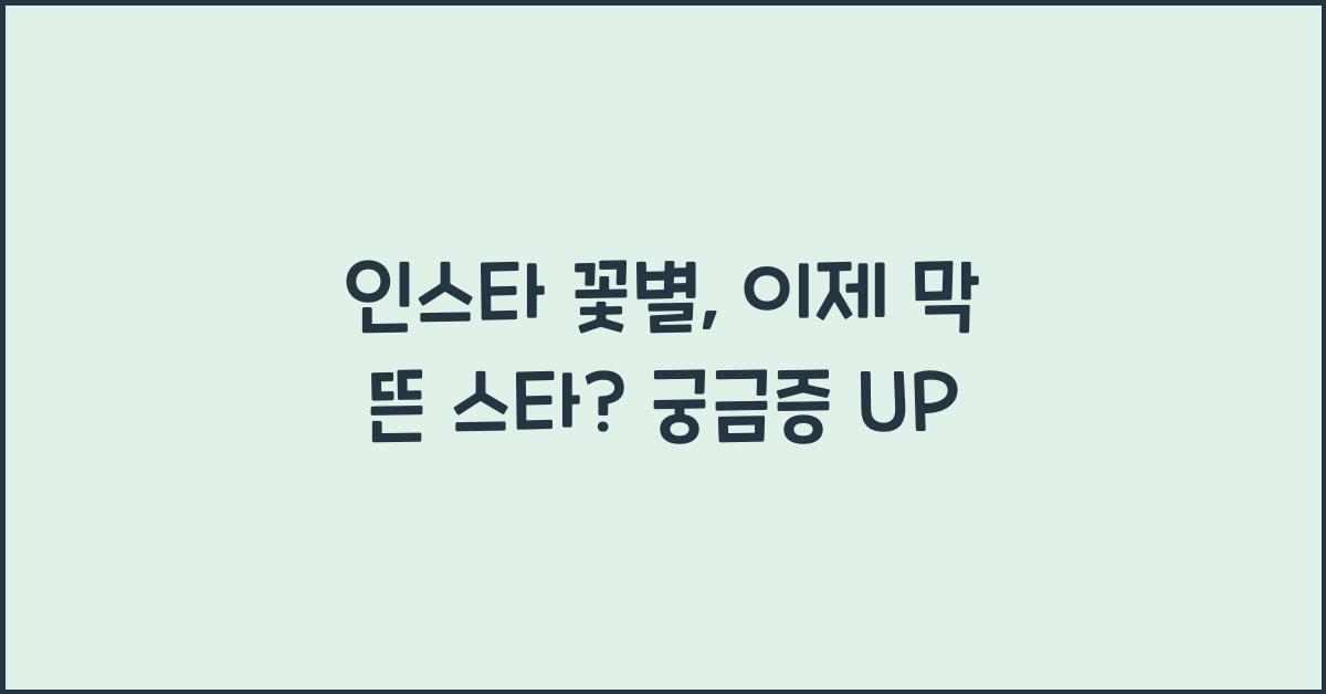 인스타 꽃별