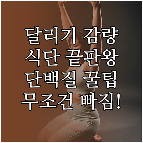 체중 감량을 위한 달리기 식단과 단백..