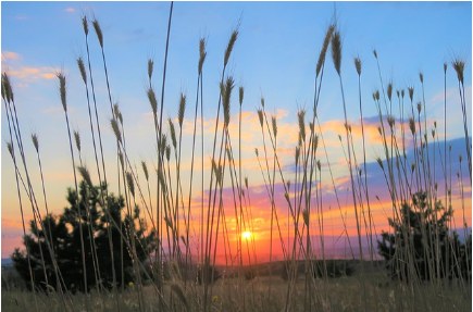 ‘경북 봉화’에서 만난 80세 할아버지 이야기