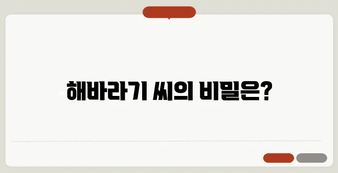 해바라기 씨 영양과 효능 간식으로 즐기는 건강한 씨앗