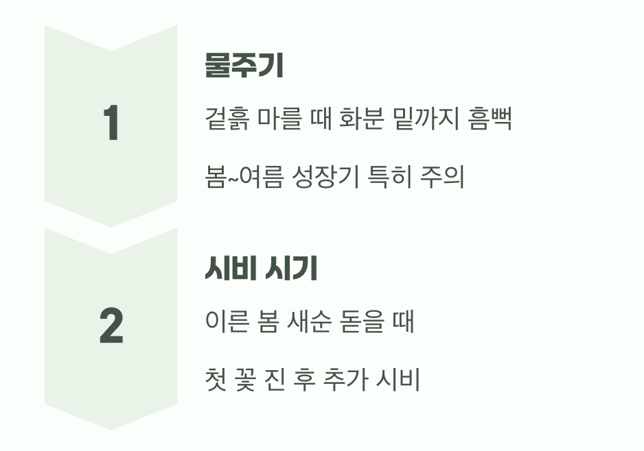 물과 영양&amp;#44; 타이밍이 중요해요