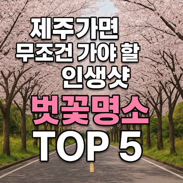 제주벚꽃숨은명소