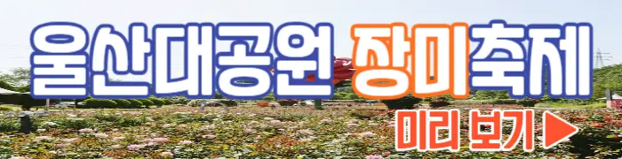 울산대공원 장미축제 사진