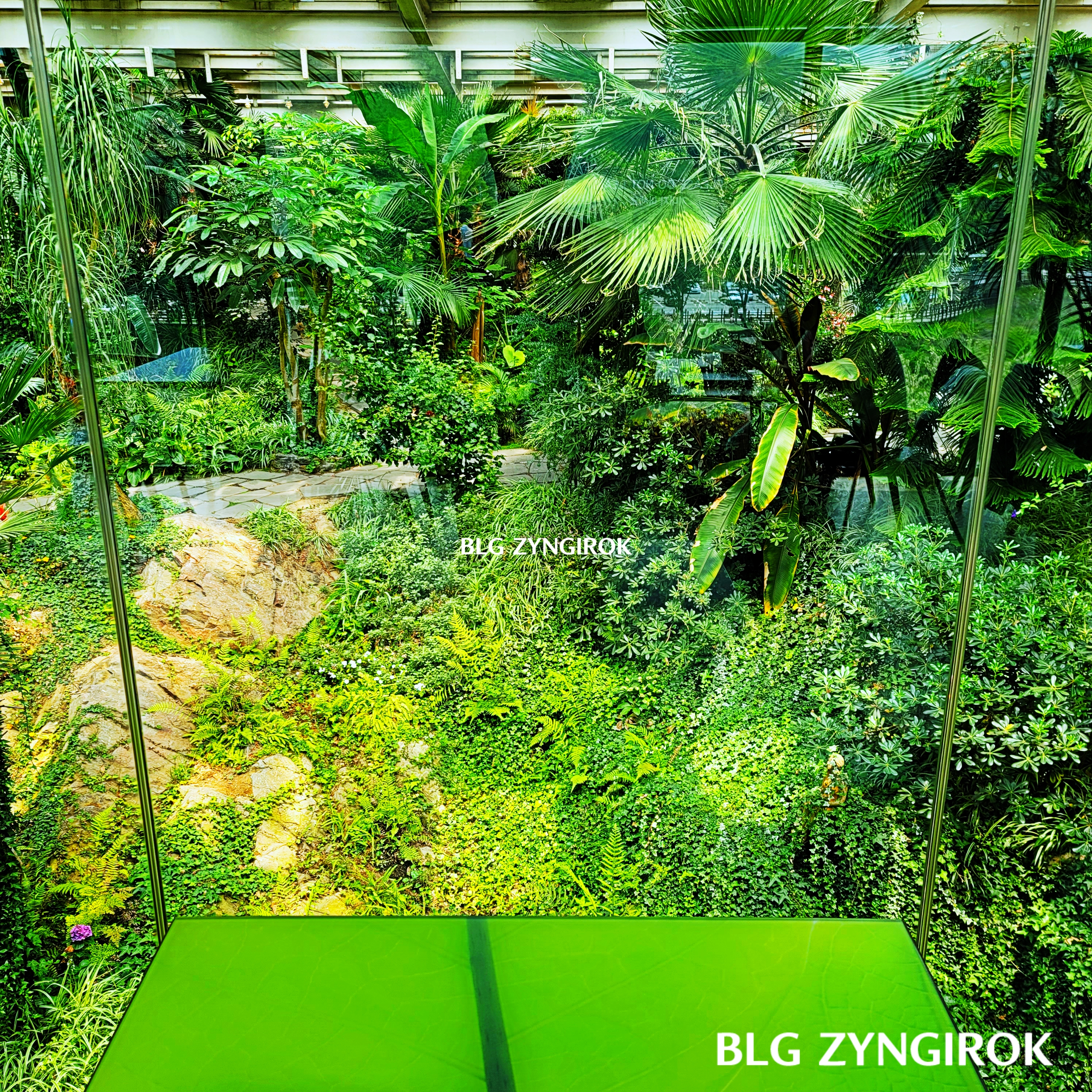 양주-오랑주리-카페-2층좌석에서-바라본-숲이다.