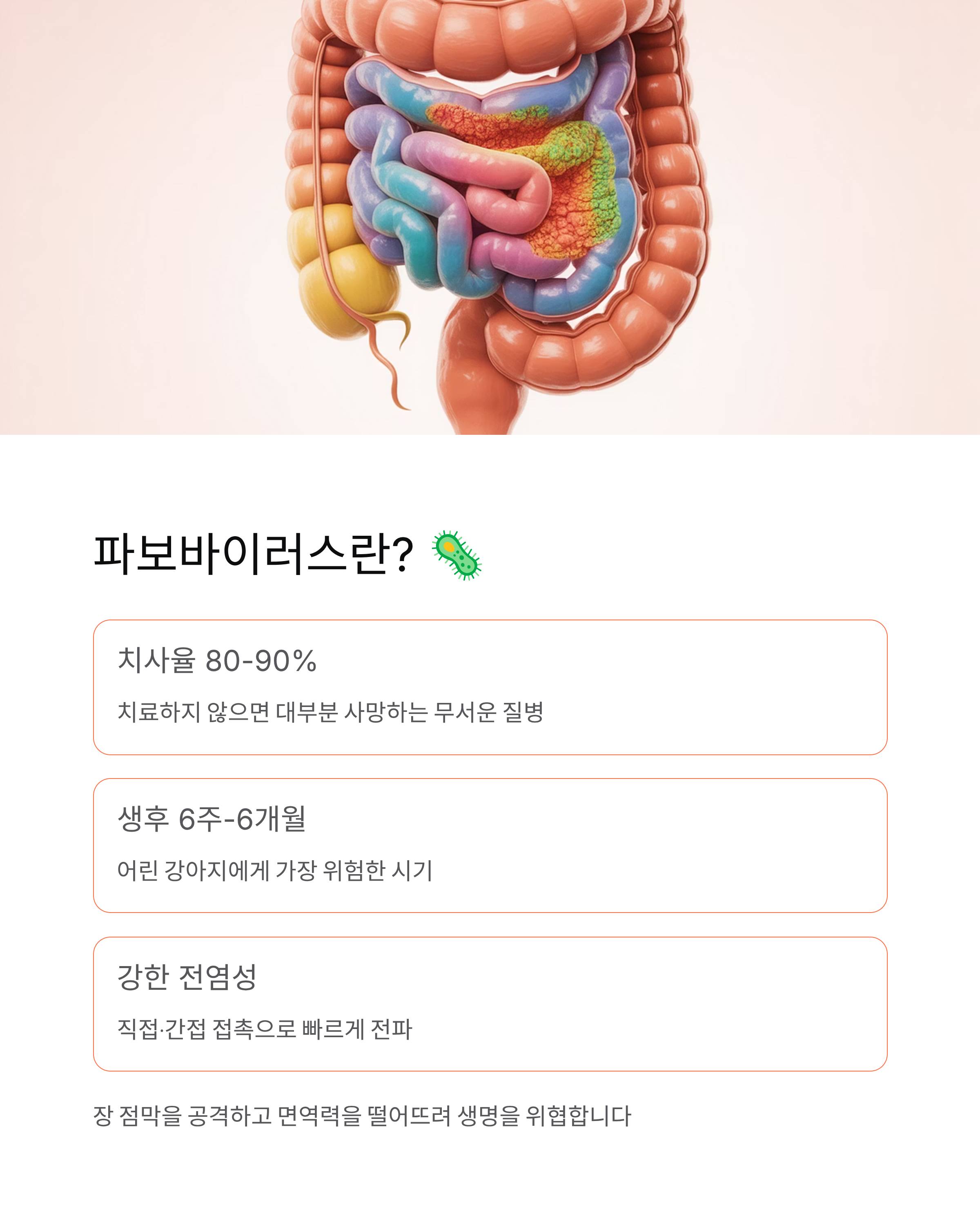 강아지 파보 🚨 증상·치료·예방접종 완벽 가이드!