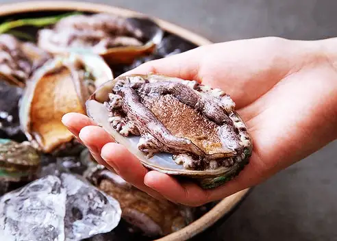 고수 대 고수 원기회복 전복 파는 곳 전국 택배 온라인 주문 평창 추천