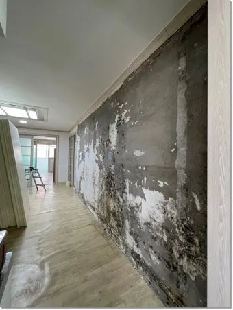 세입자가 집을 비워주지 않을 때 해결 방법_19