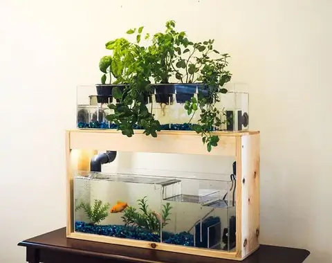 공간에 맞춰 수조를 개조하는 아쿠아포닉스 DIY 디자인 아이디어