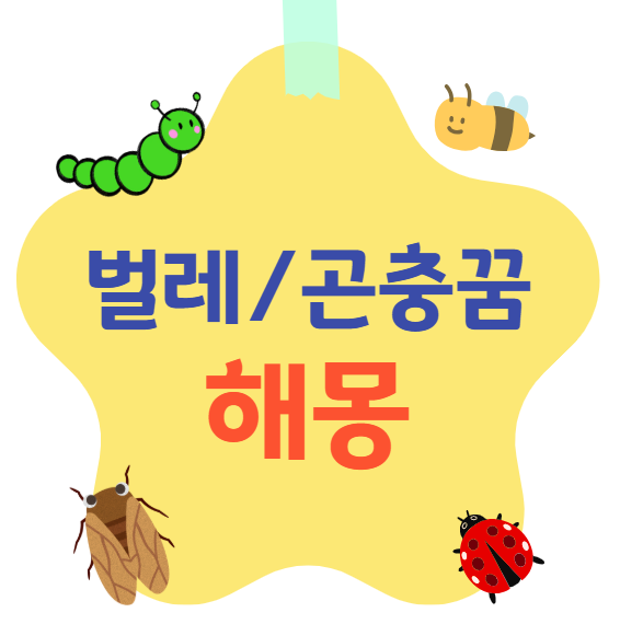 벌레 곤충꿈 해몽