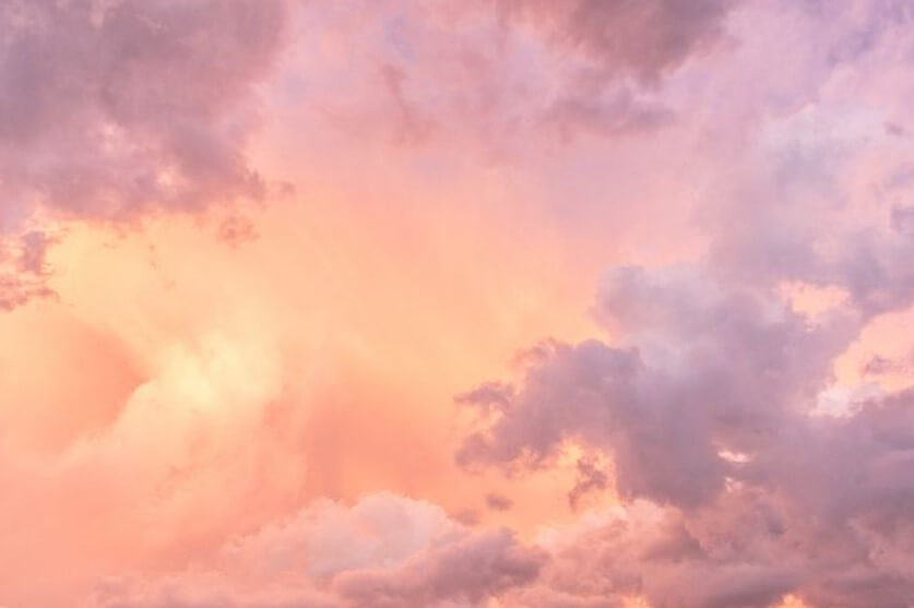 집안에쏟아지는꿈