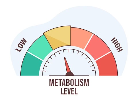 고효율-에너지-환급-2