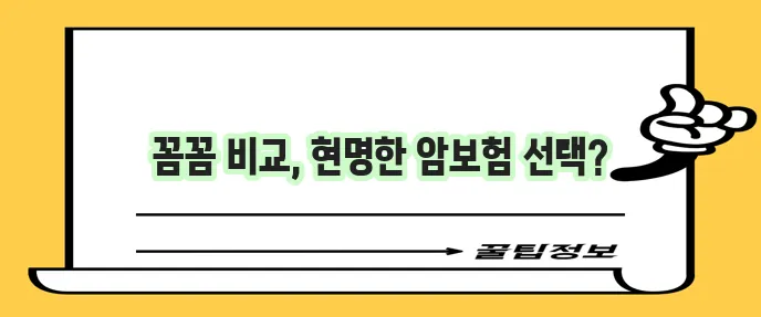 현대해상 암보험, KB손해보험 암보험, 라이나 생명 암보험 비교하기