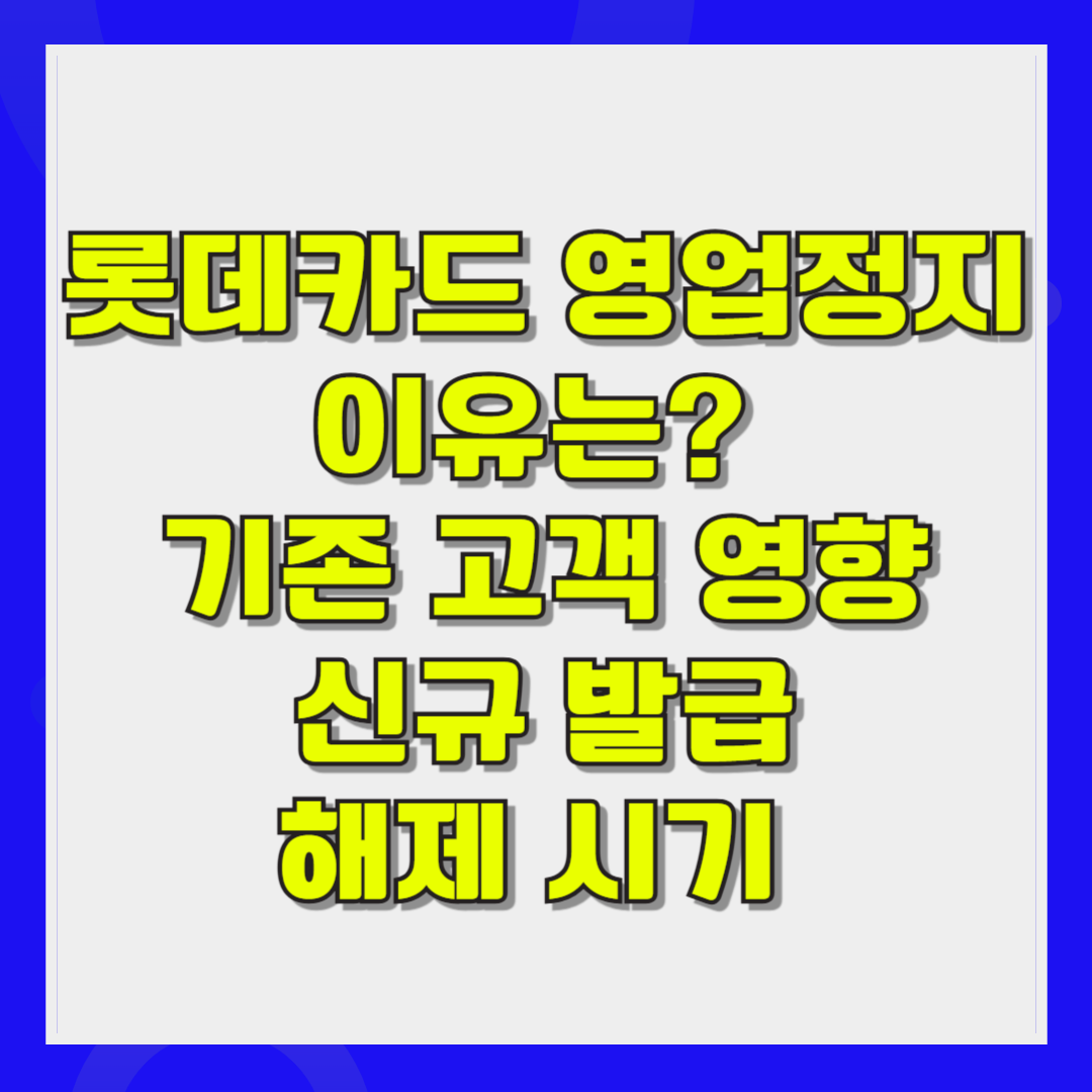 롯데카드 영업정지 이유는 기존 고객 영향·신규 발급·해제 시기 총정리