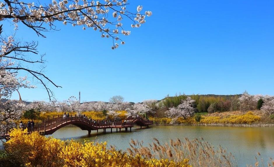 5월 여행- 가족 여행 추천, 국내 베스트 3, 가족 공유