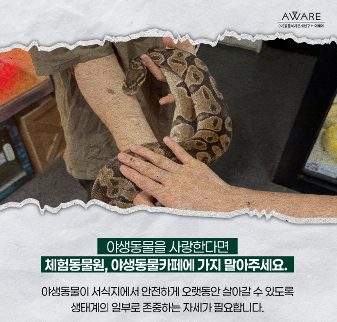 동물 체험