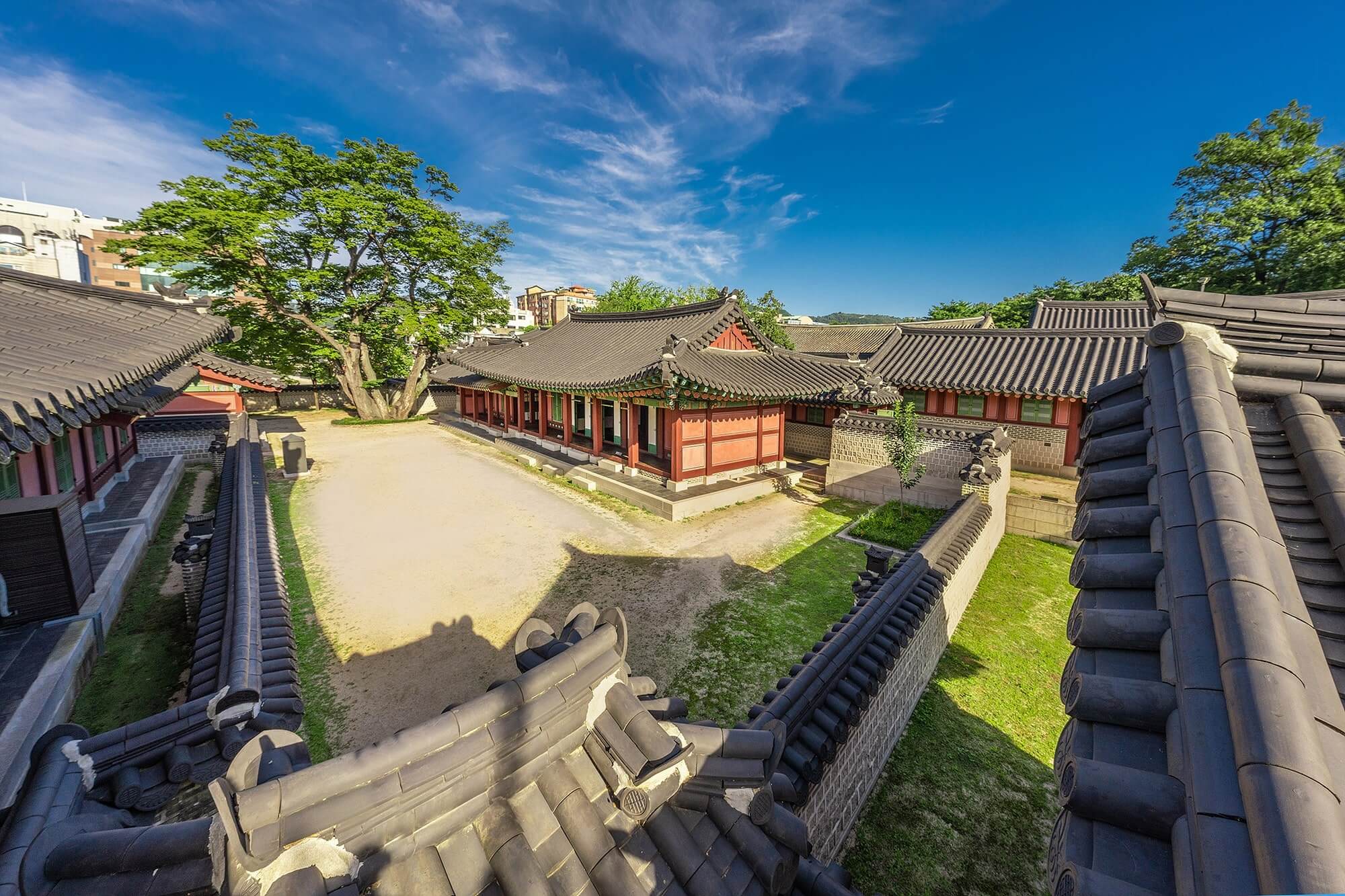 창덕궁 약방 개방 오미자차 시음