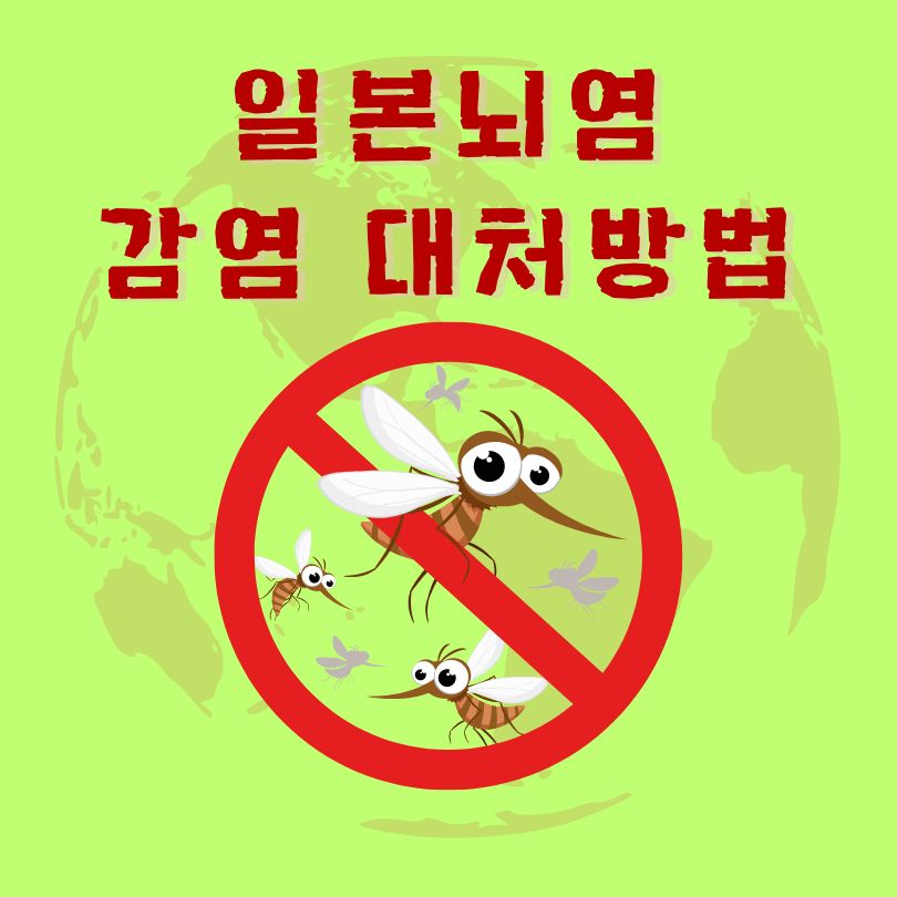 일본뇌염감염 대처방법
