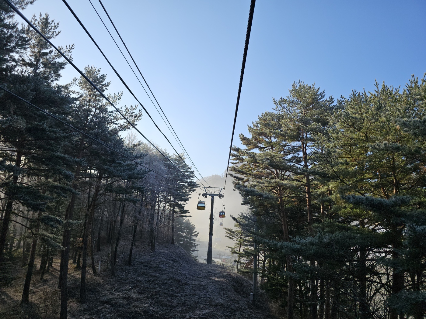 [발왕산 케이블카]