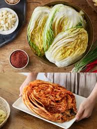 김장 김치 보관법 효능 김치 유산균