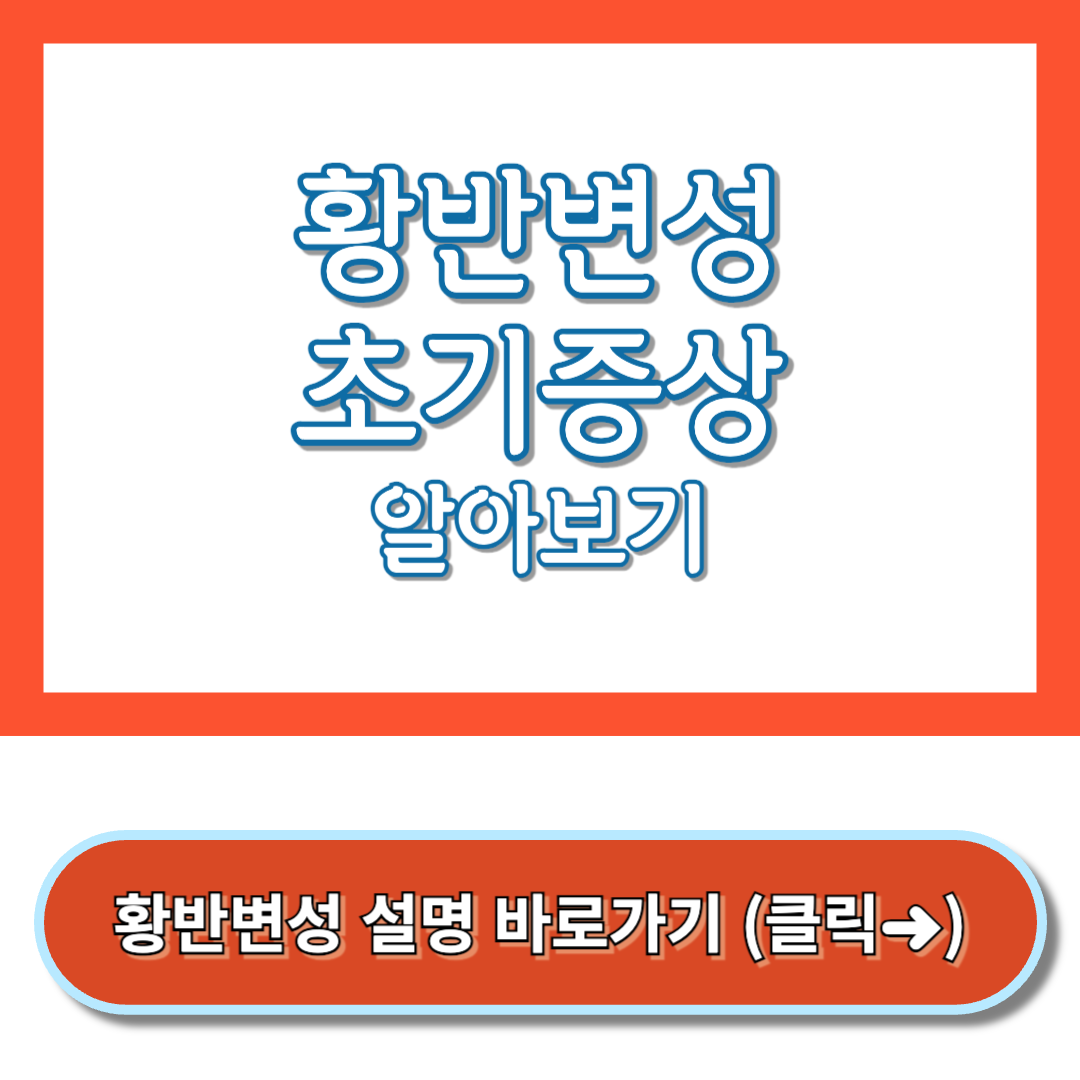 황반변성 초기증상