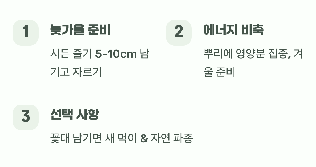 겨울나기와 내년을 위한 준비