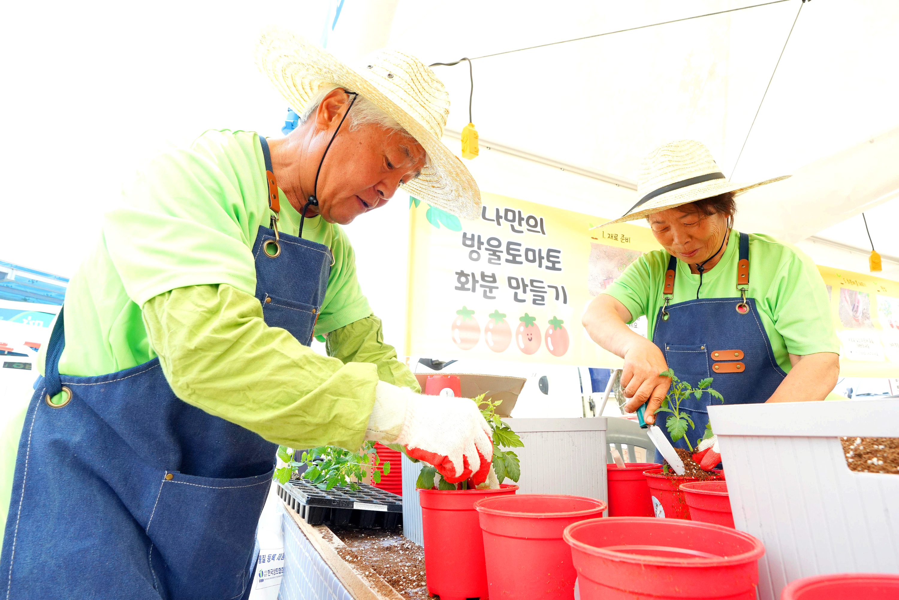 퇴촌 토마토축제