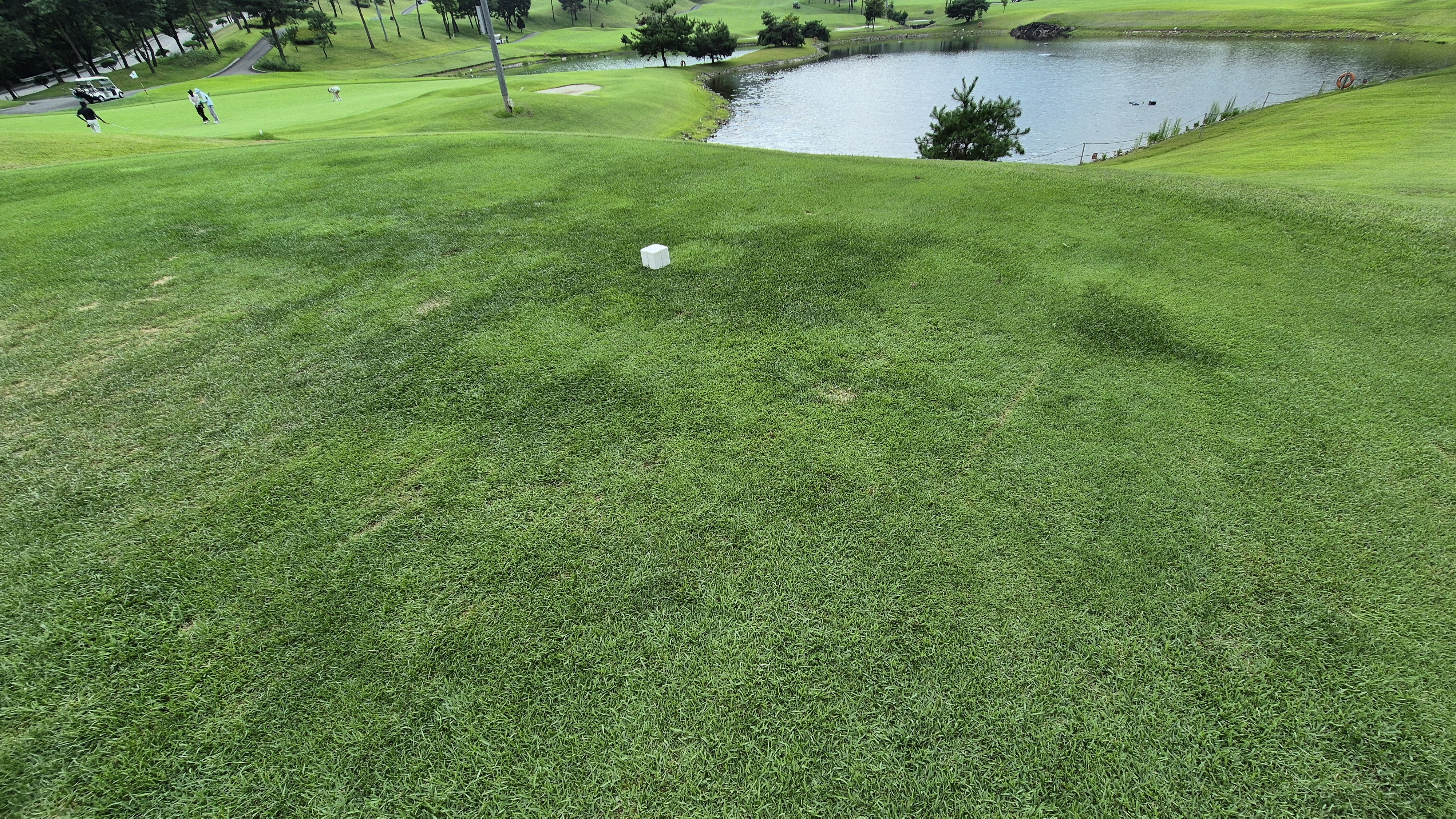 동원썬밸리cc 라운드 후기