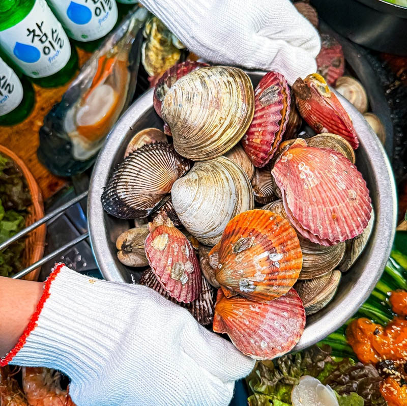 제부도 코스요리 횟집 '만선횟집'