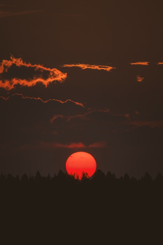 양양 쏠비치 일출 객실 100% 배정받는 법