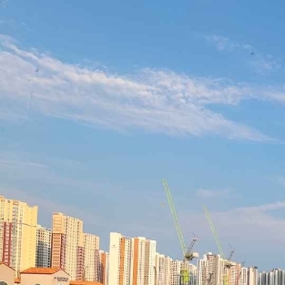 경기도 거북선 봄 달콤 축제