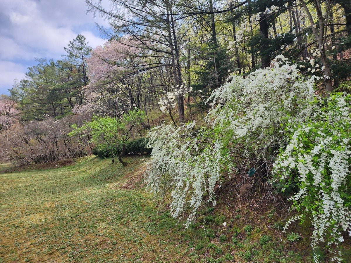 안양 수목원 이미지 사진